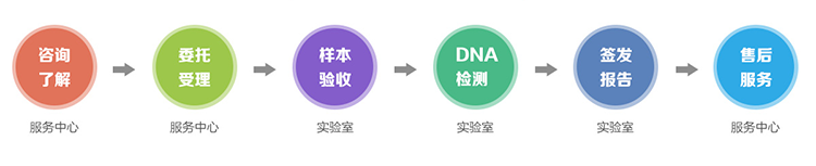 西宁隐私亲子鉴定流程